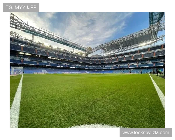 新手如何高效利用开云体育登入口，提升体育赛事的观赏乐趣