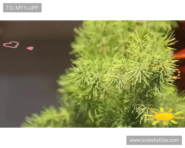 如何确保Kaiyun开云现金开户的合法合规操作避免法律风险的详细指南