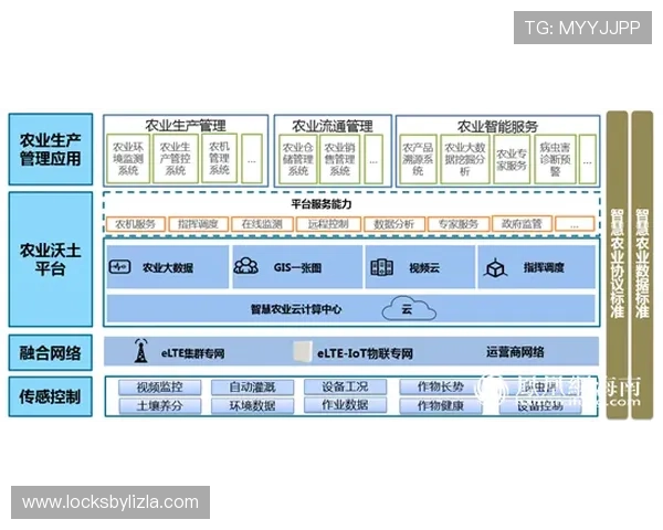 开云国际版全面介绍：最新版本功能与安全保障详解